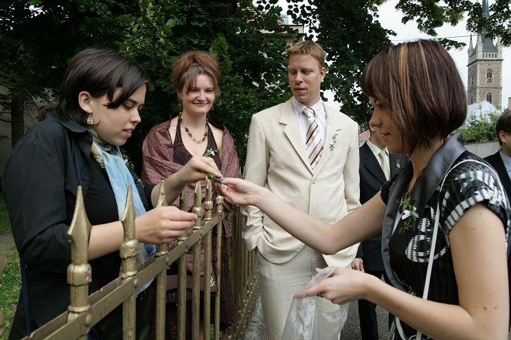 img00009.jpg