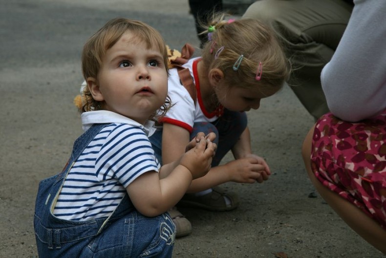 img00017.jpg